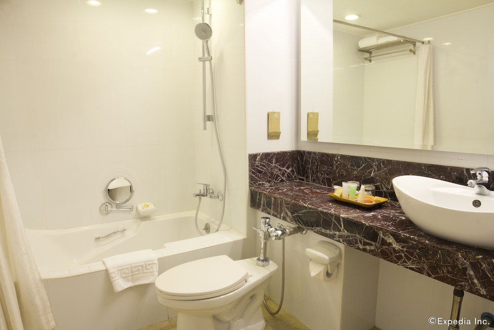 Bayview Park Hotel Manila 45/50