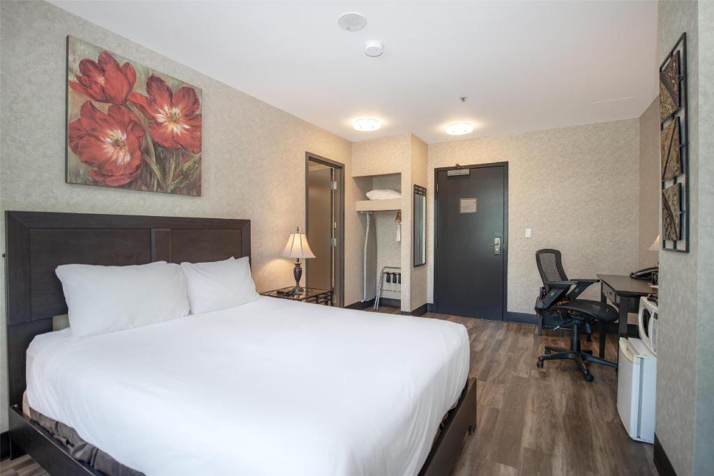 Coast, Queen Bed