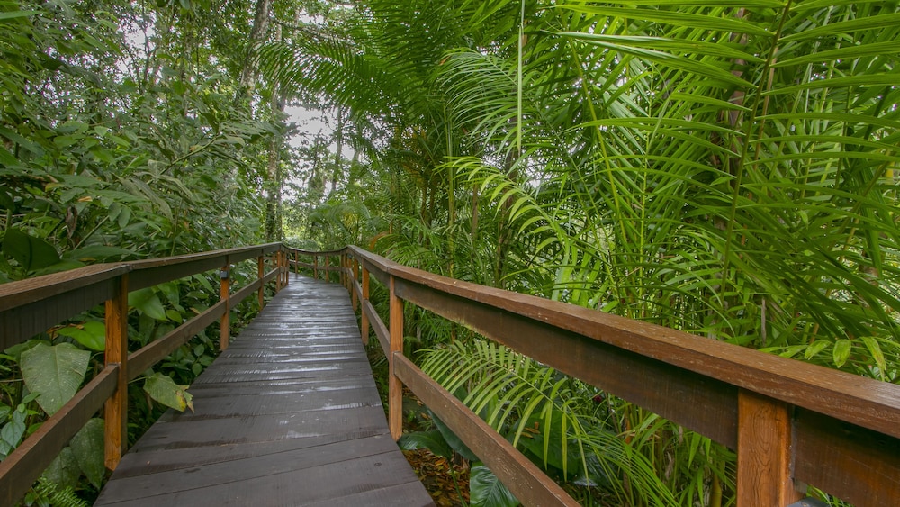 Chachagua Rainforest Hotel And Hacienda 45/50