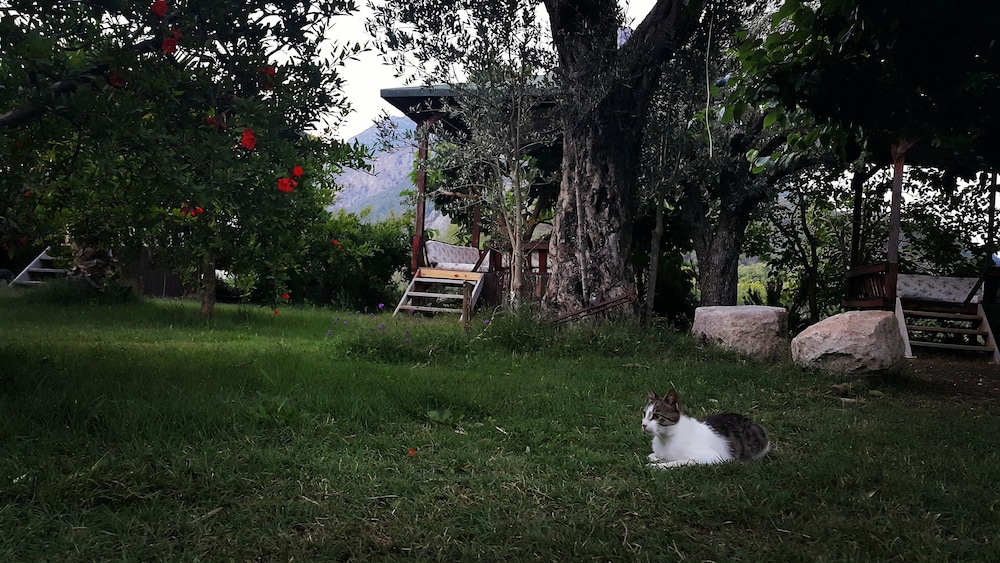 Adrasan Deniz Hotel 26/35