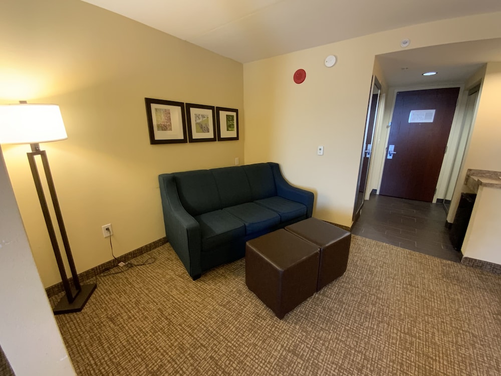 Comfort Suites Fredericksburg North 25/35