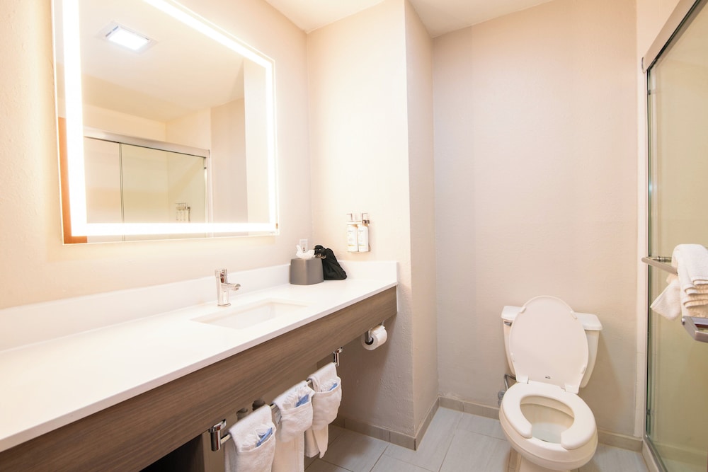 Holiday Inn Express Hotel Suites College Station 48/48