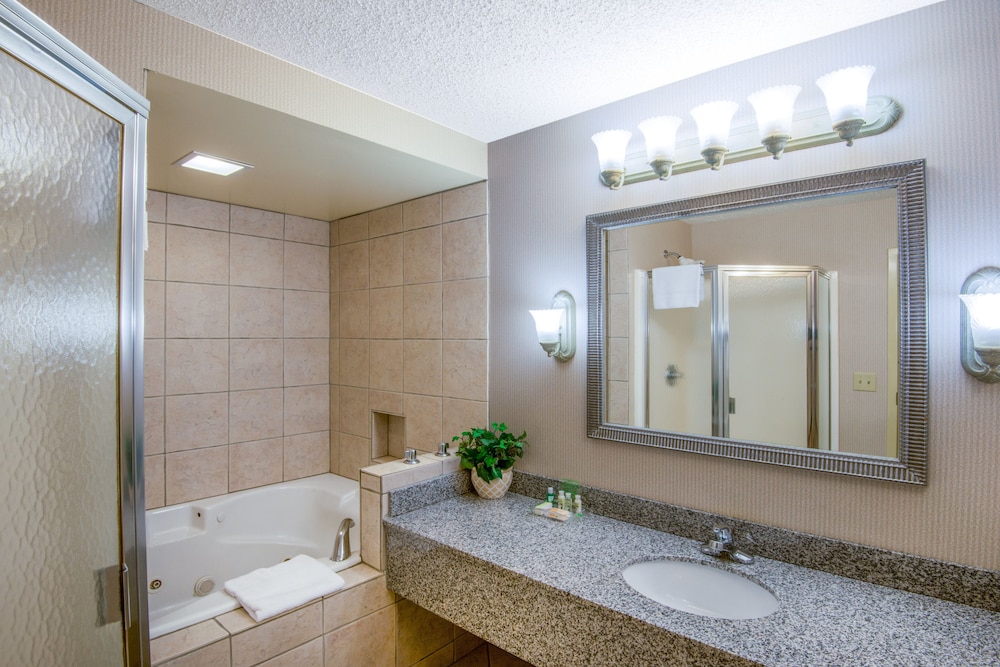 Holiday Inn Riverton Convention Center 26/64