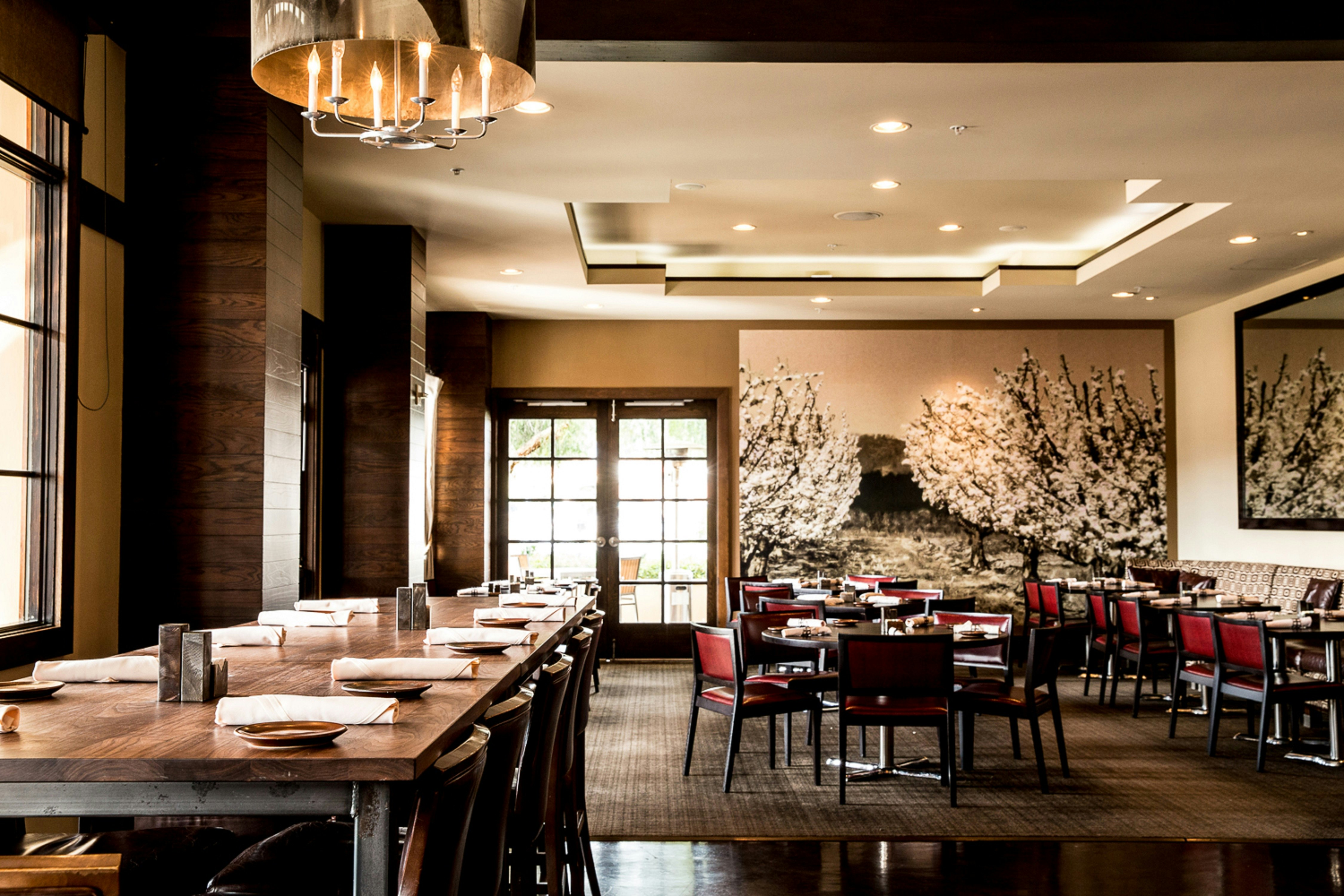 Juniper Hotel Cupertino, Curio Collection By Hilton 6/19