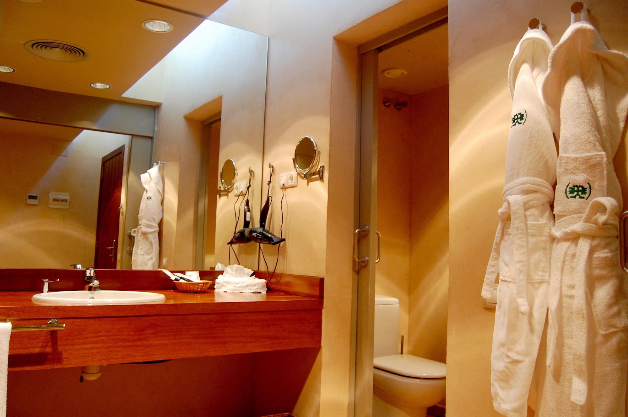 غرفة قياسية بسرير كينج، Hotel Mas Salvi 9/9
