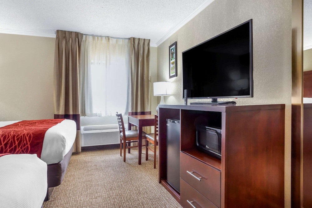 Comfort Inn Hoffman Estates Schaumburg 23/33