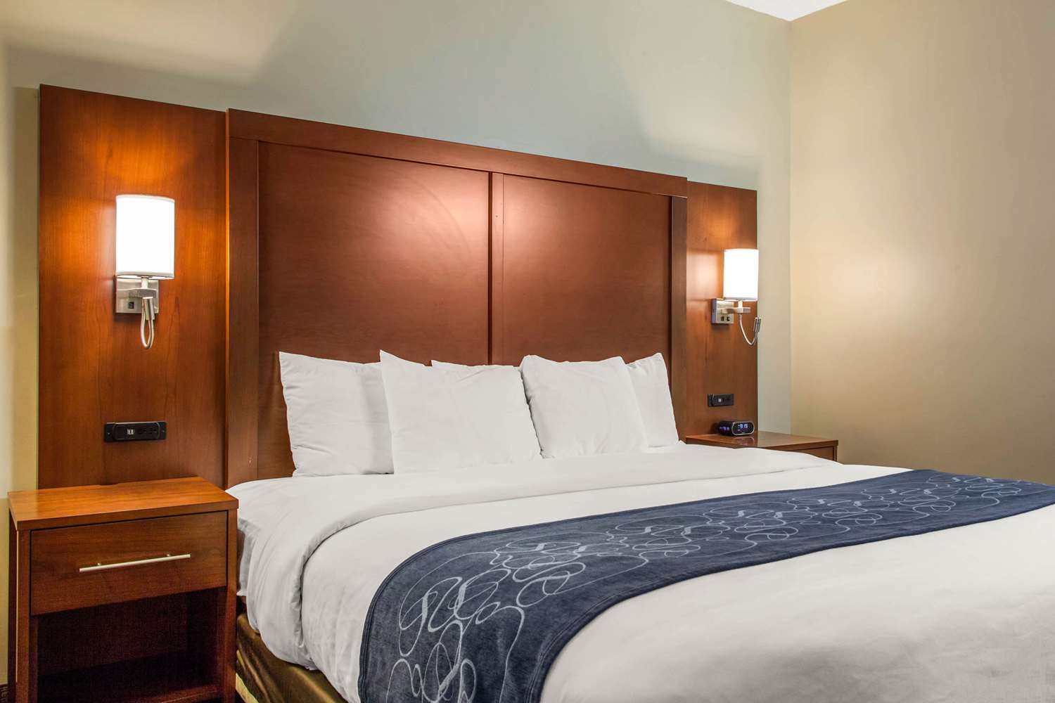 Suite, King Bed