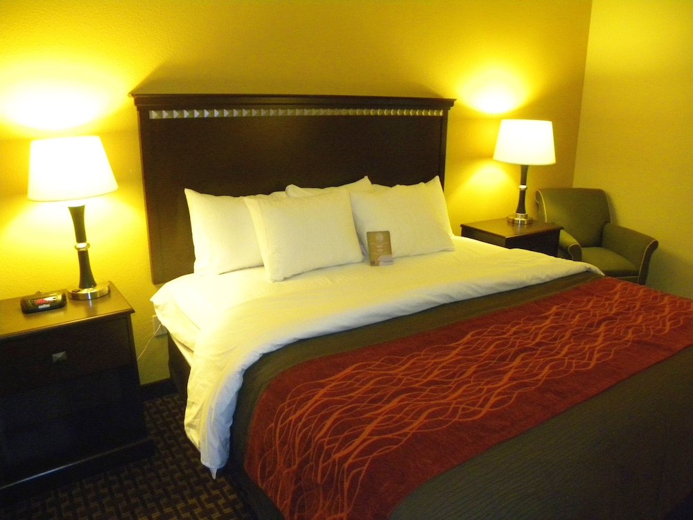 Comfort Inn and Suites Regional Medical Center 15/43