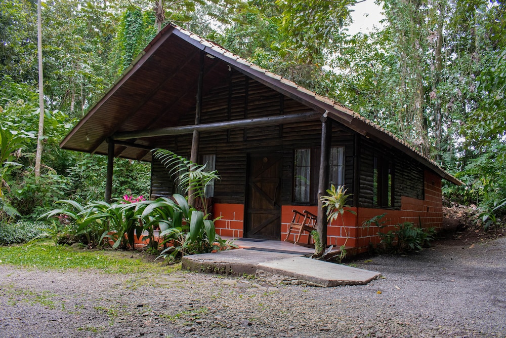 Arenal Oasis 4/50
