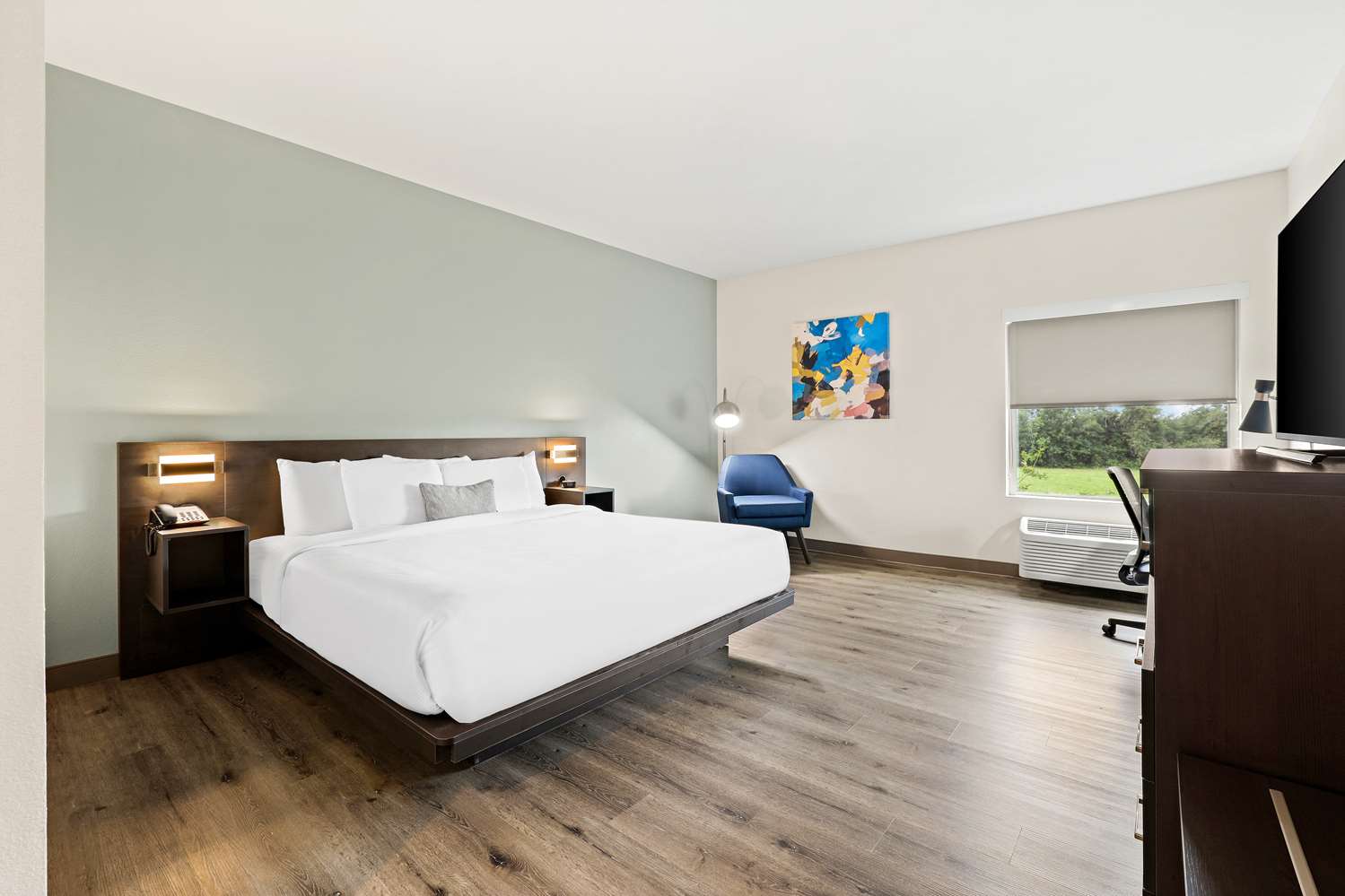 Room, King Bed, Bathtub, Accessible