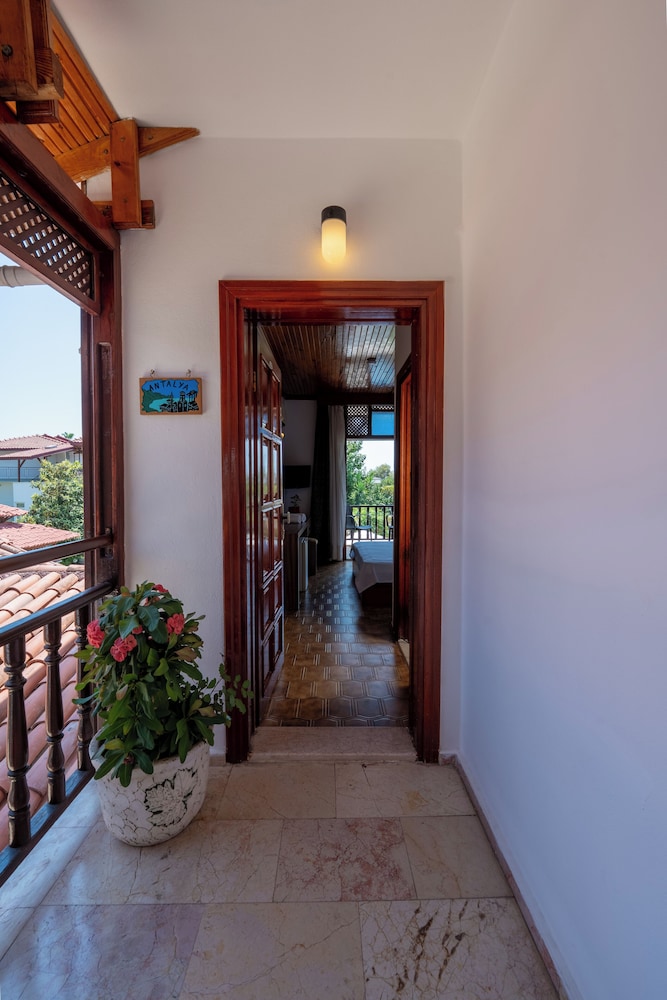 Hotel Palma Rosa 12/50