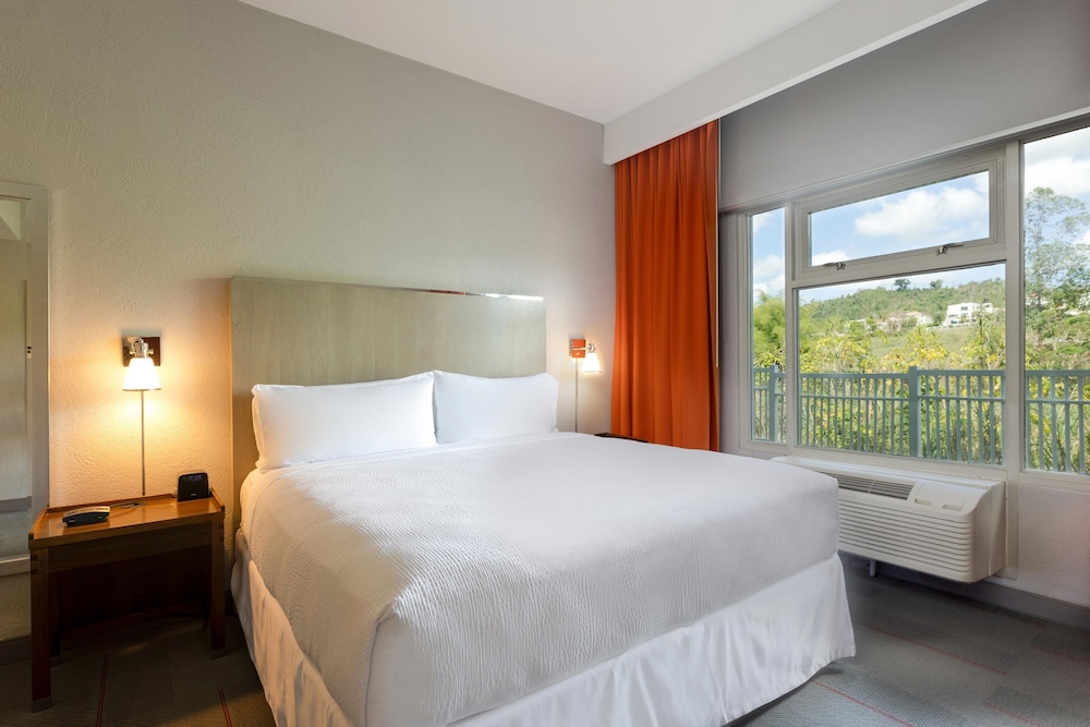 Four Points by Sheraton Caguas Real Hotel Casino 19/58