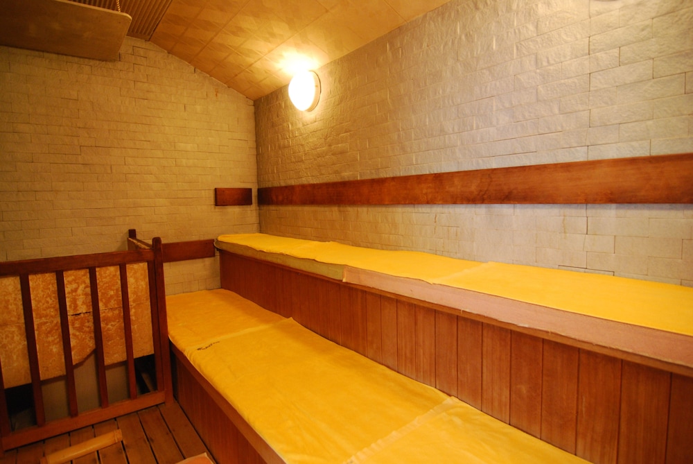 Shin Iya Onsen Hotel Kazurabashi 26/55