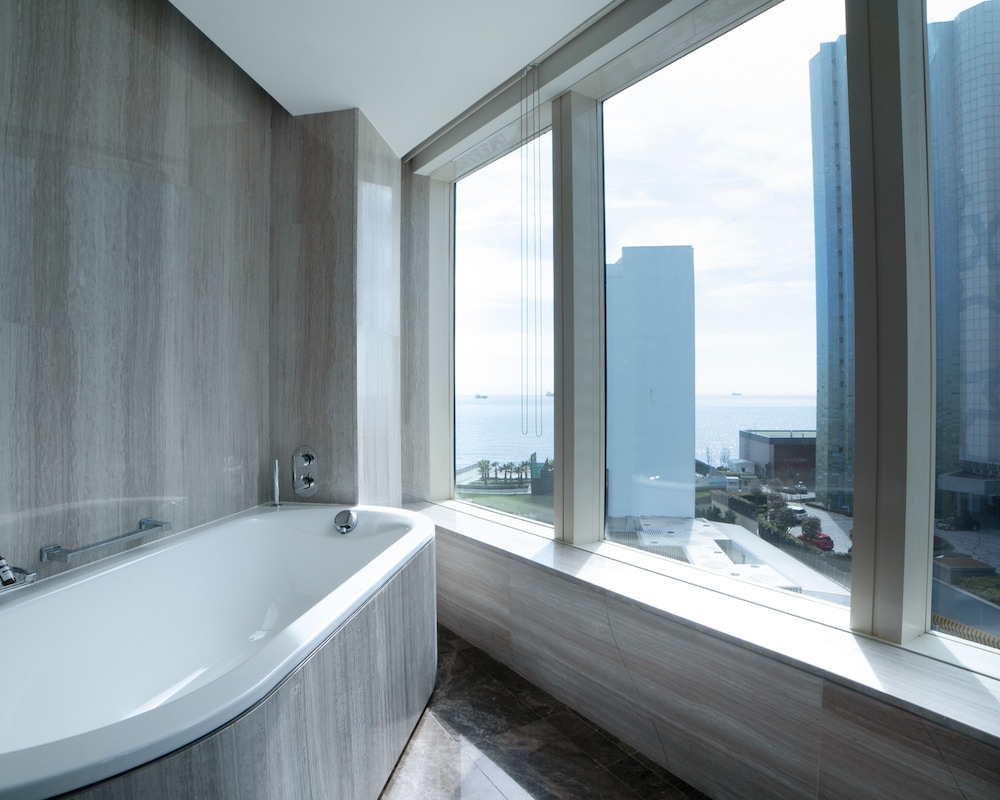Hyatt Regency Istanbul Atakoy 30/80