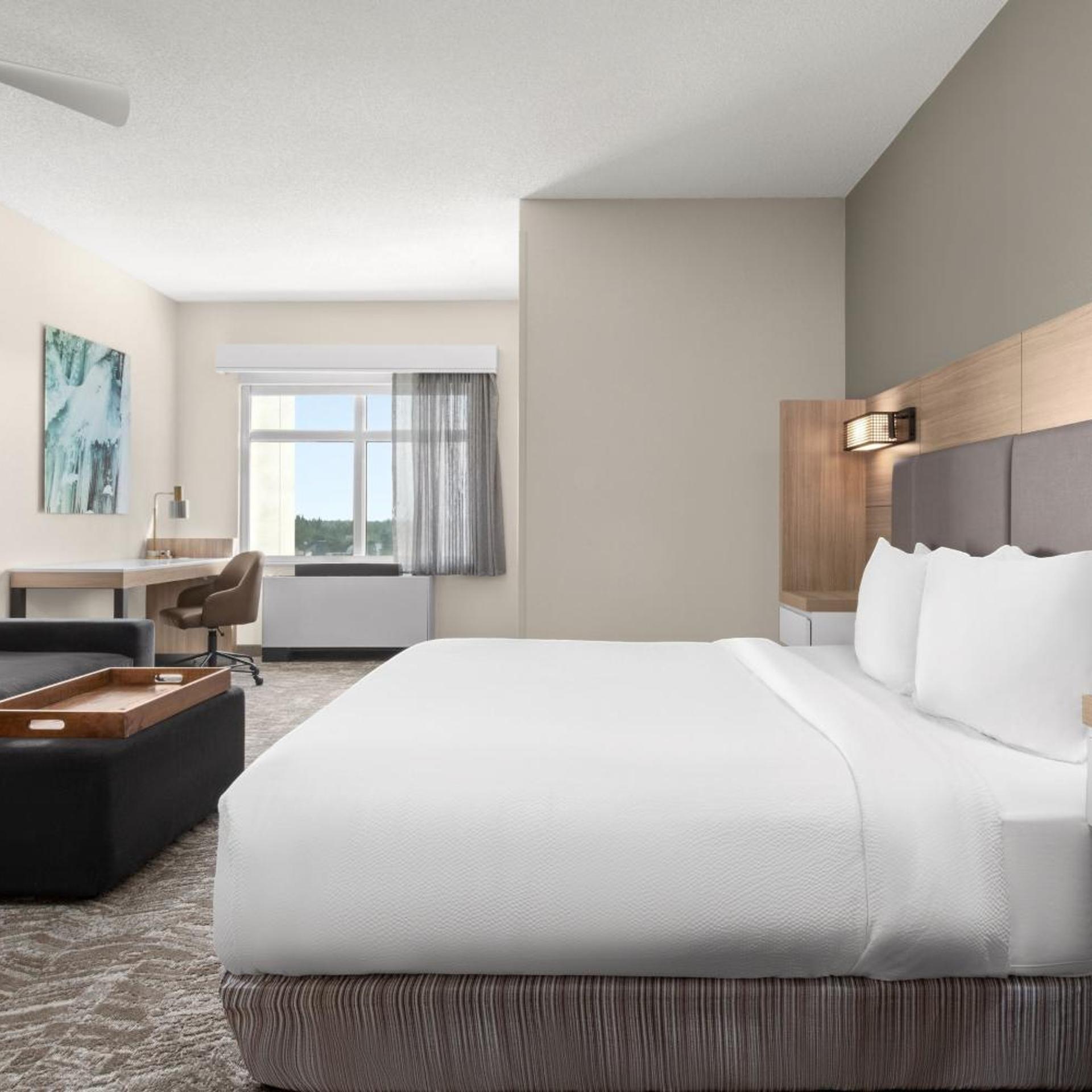 Suite, King Bed, Trundle Bed, Sofa