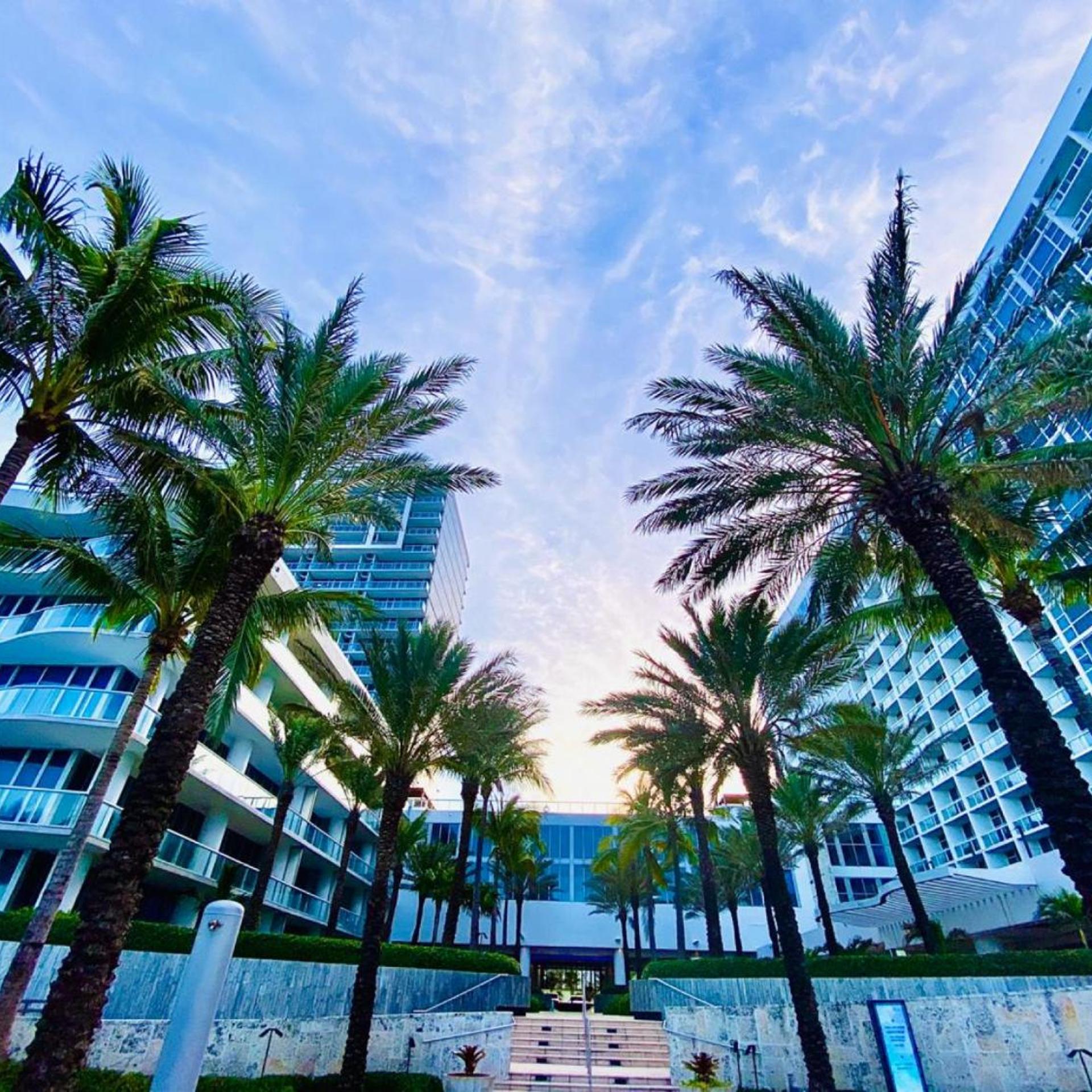 Carillon Miami Beach Private Luxury Suites 20/30