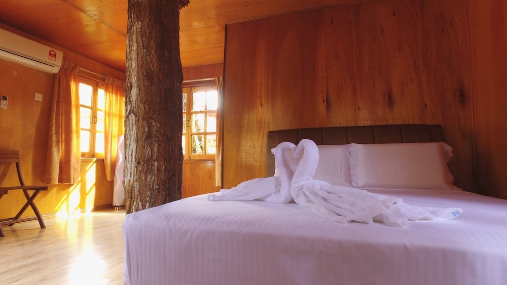 Borneo Tree House 8/25