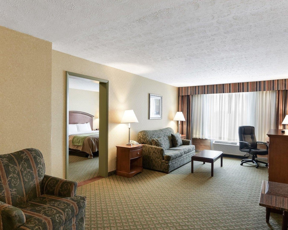 Comfort Inn Grantsville 28/41