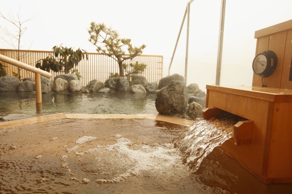 飛騨花里の湯 高山桜庵 写真1