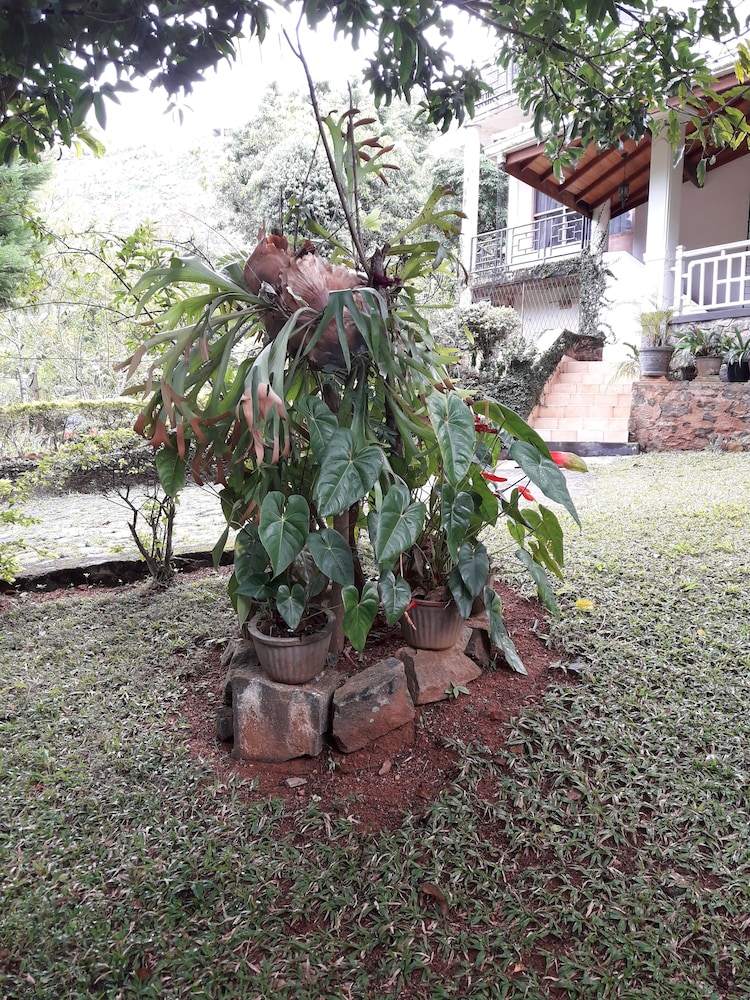 Ka Mario Guesthouse 25/34