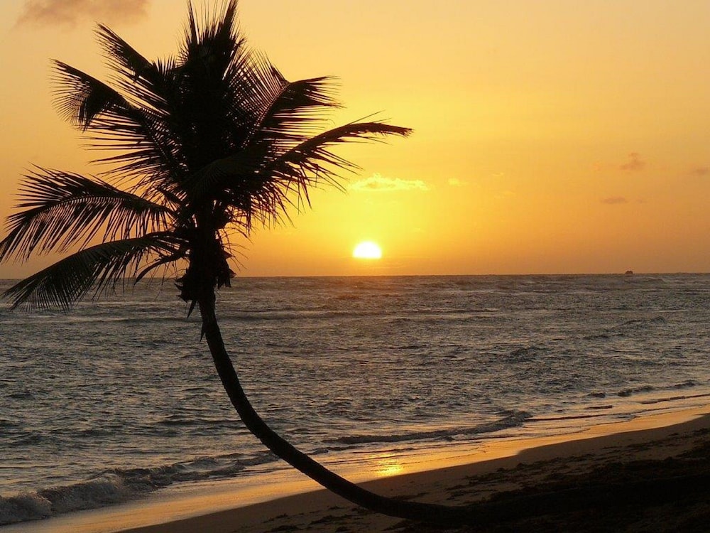 Grand Sirenis Punta Cana Resort 73/79