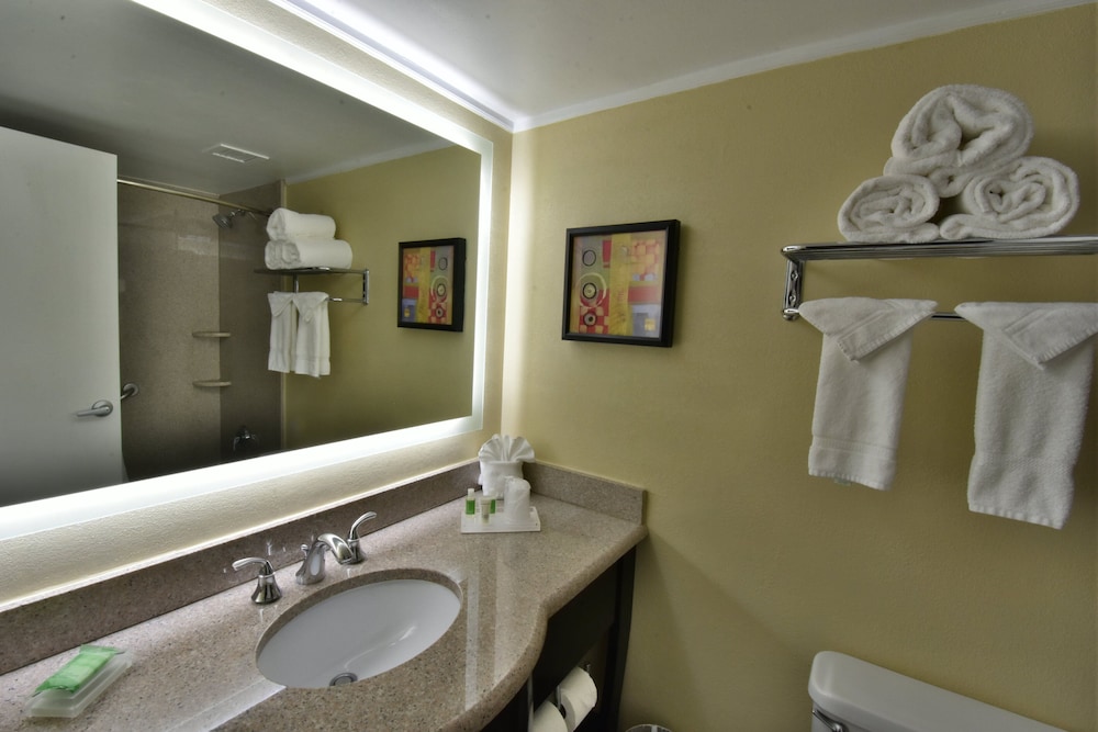 Holiday Inn Orlando East - UCF Area 17/59
