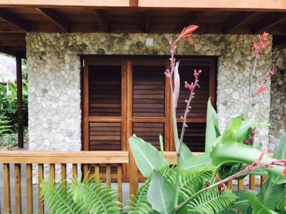 Tanna Evergreen Resort & Tours 4/50