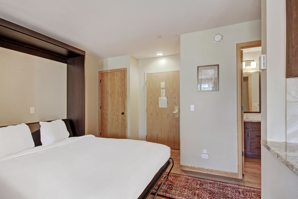 Condo, Studio, Murphy Bed, Sofa
