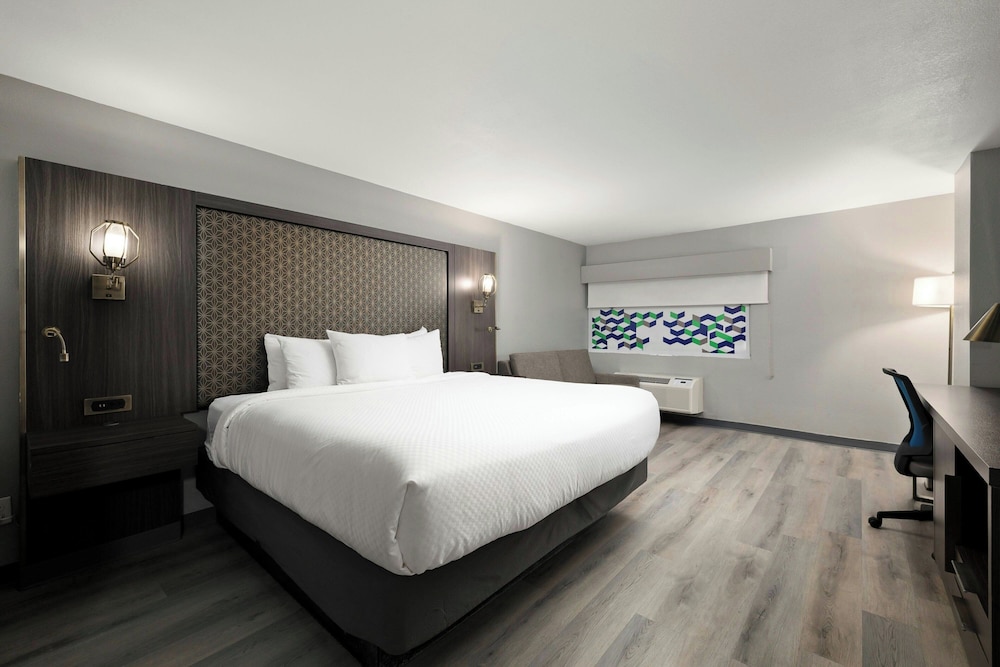 Room, King Bed, Sofa