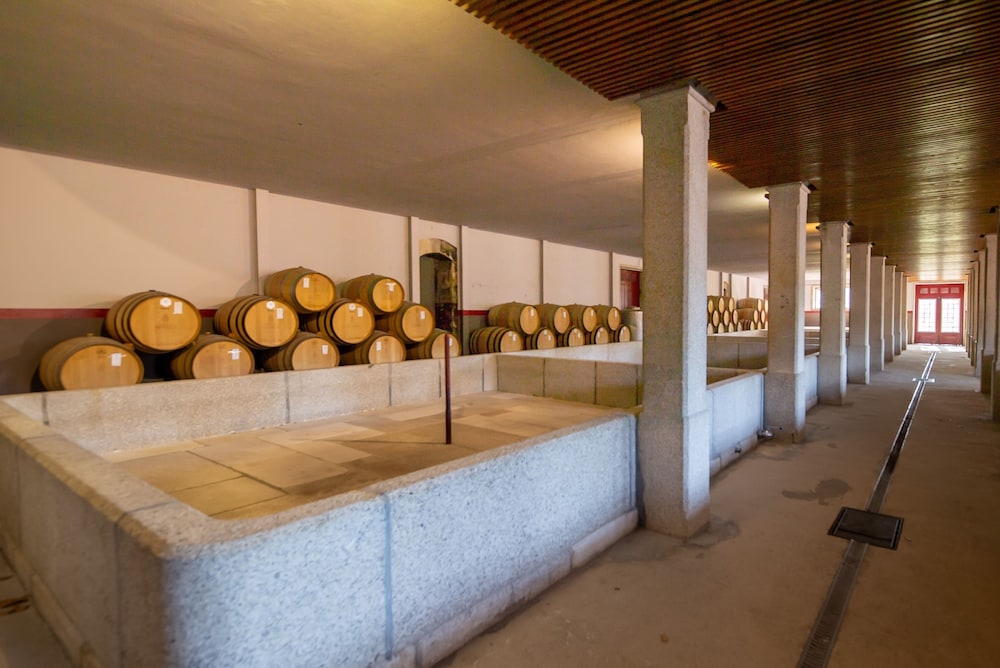 The Wine House Hotel Quinta Da Pacheca 45/78