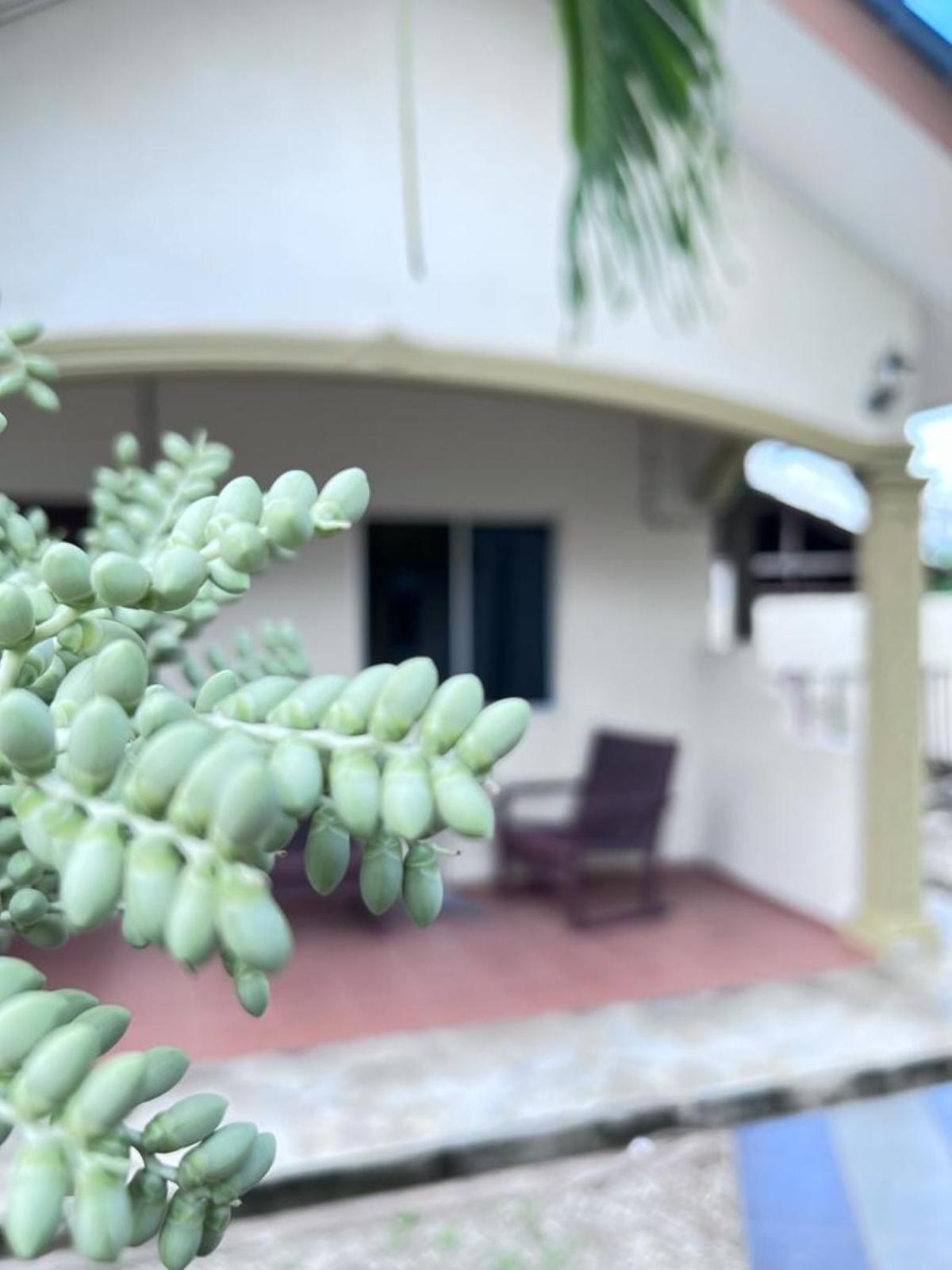 Dhania Motel 28/41