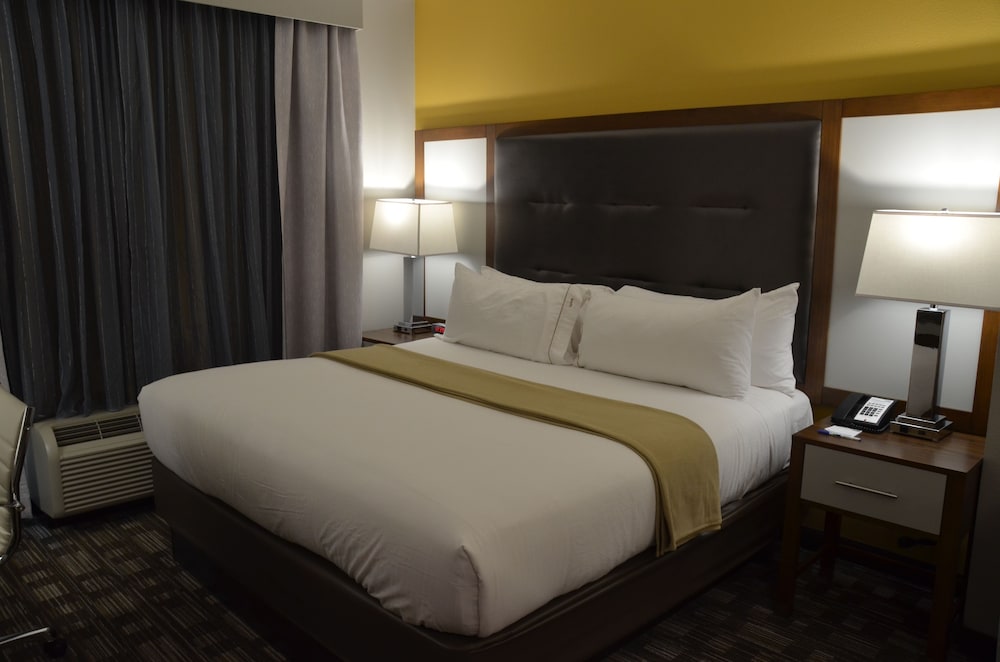Holiday Inn Express Hotel And Suites Albany 21/67