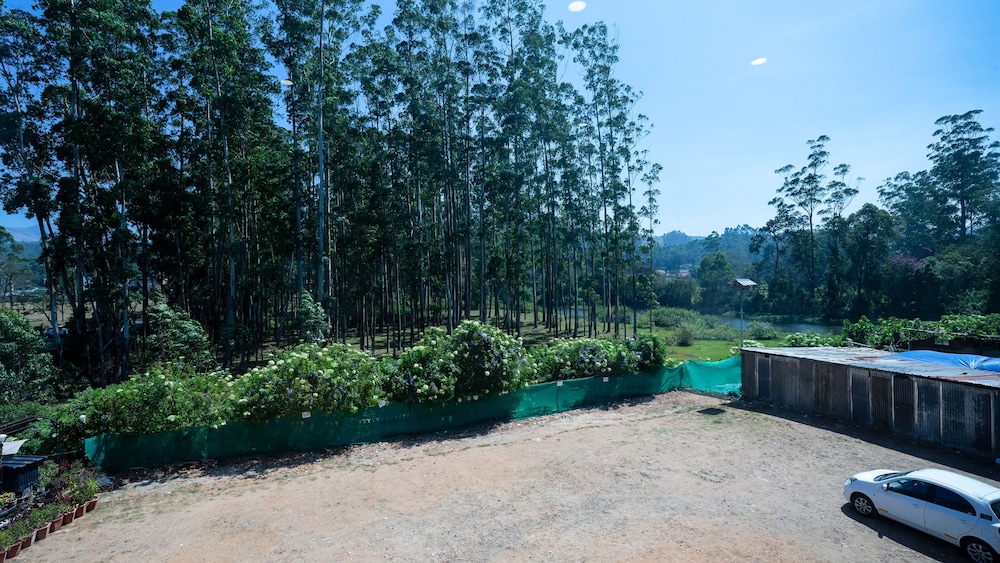 Hill View Munnar 46/50
