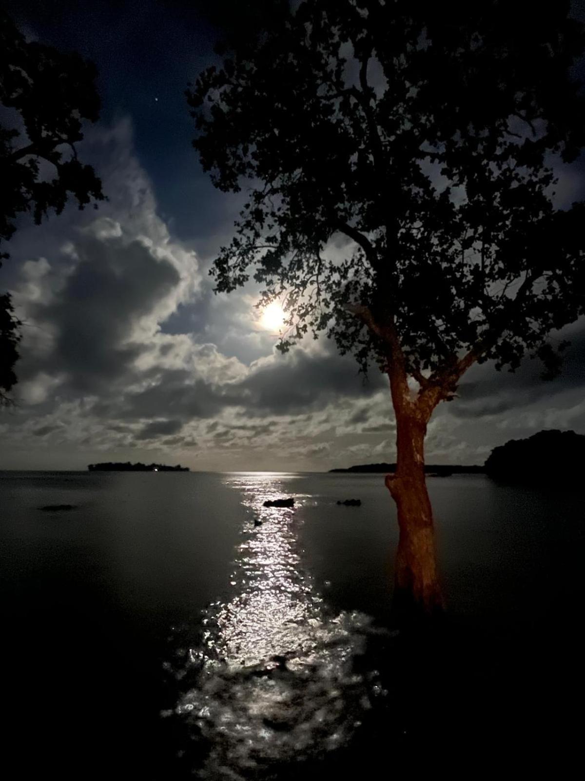 Dany Island Eco Resort 42/50