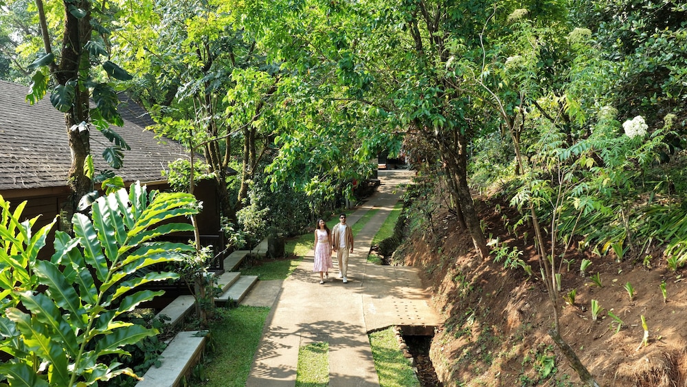 The Tamara Coorg 42/49