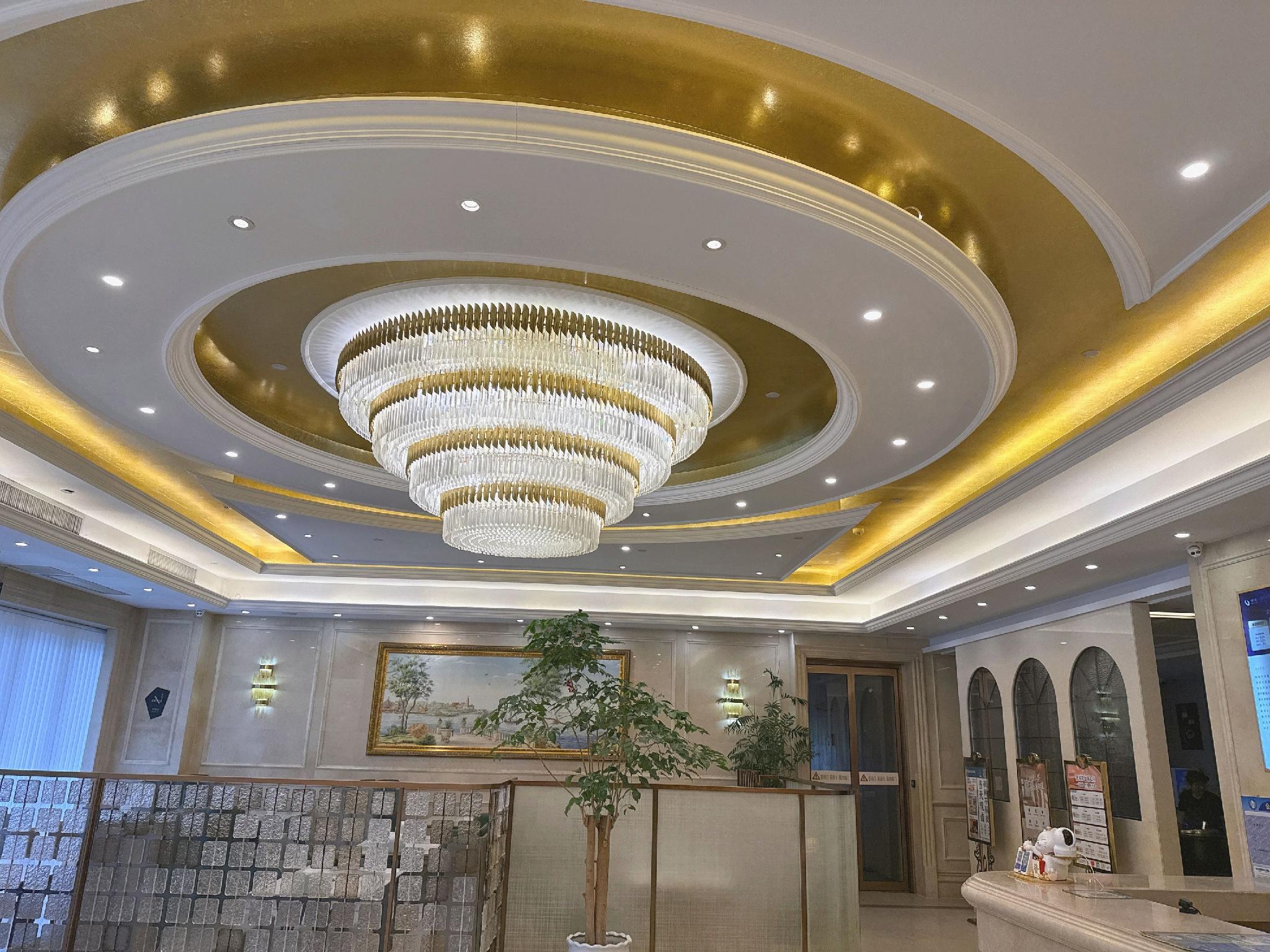 Vienna International Hotel (Nanjing South Railway Station South Square) 11/37