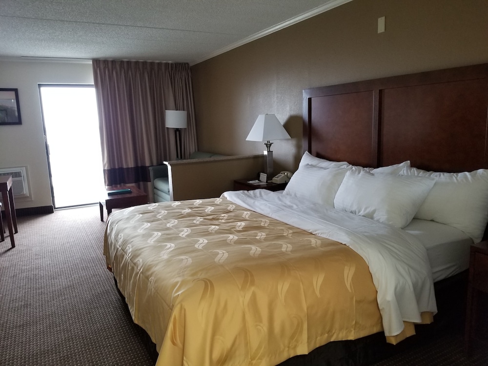 Efficiency, Standard, King Bed, Sofa