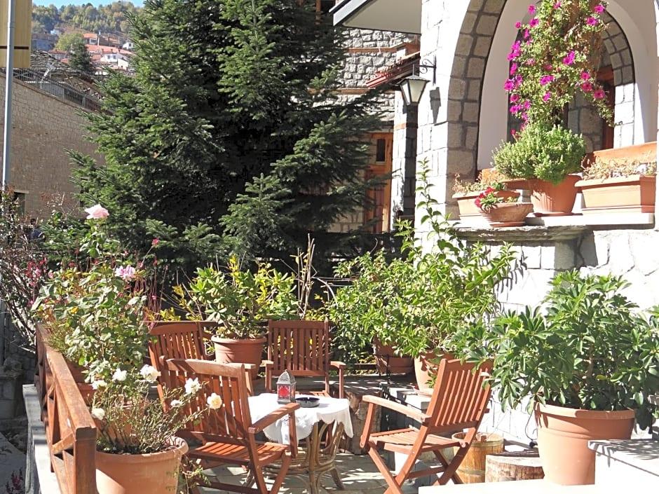 HOTEL APOLLON METSOVO 38/49