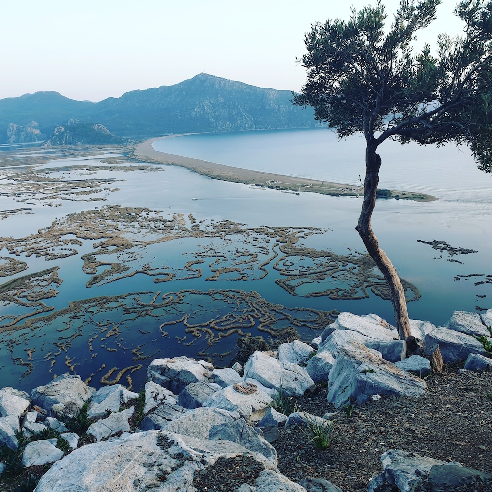 Dalyan Nish Caria Hotel 59/68