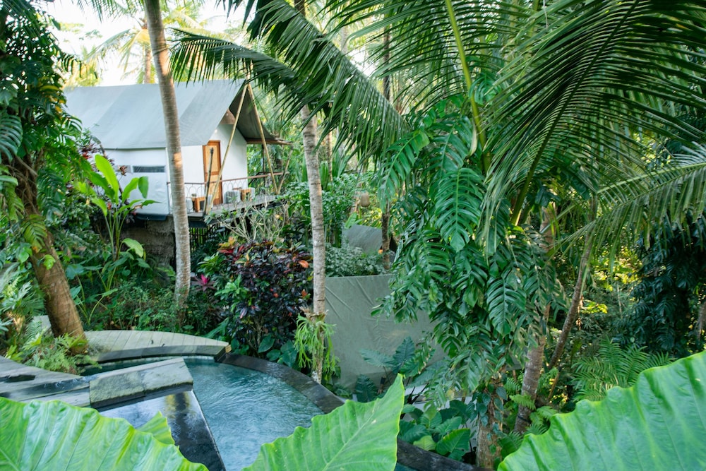 Ubud Tropical 37/44
