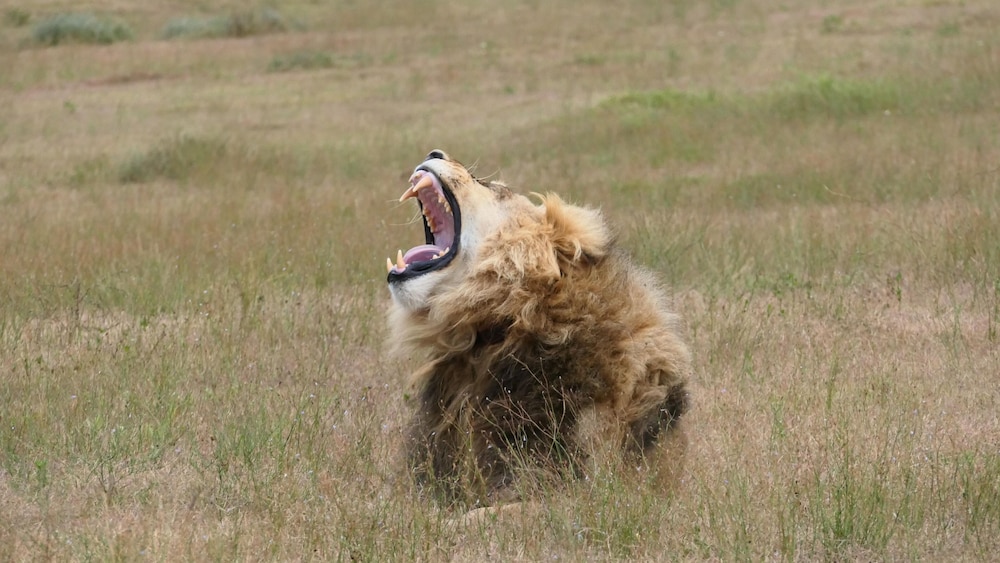 Amakhala Safari Lodge 27/50