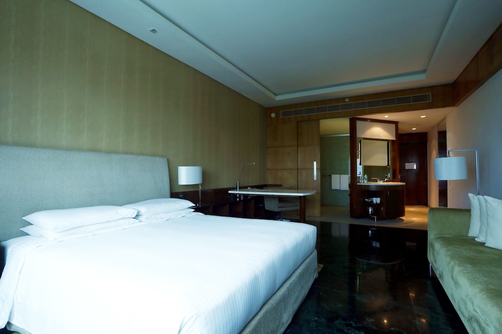 Hyatt Regency Chennai 17/80