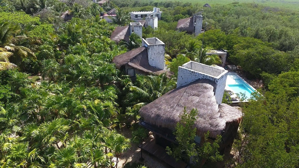 Vida Silvestre Tulum 42/50