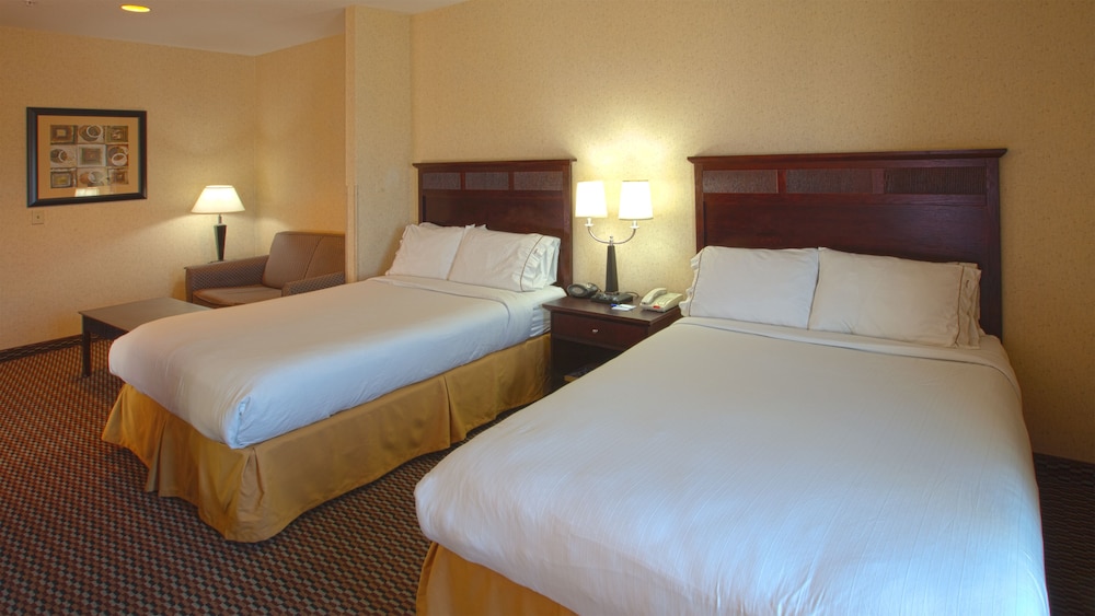 Holiday Inn Express & Suites Nampa - Idaho Center 20/78
