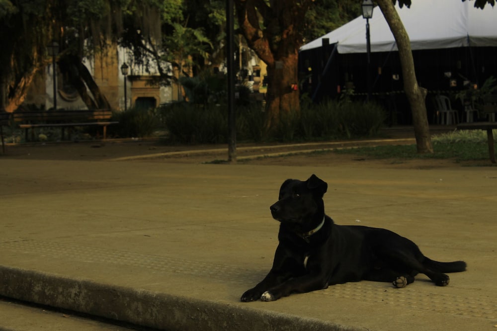 Pousada Mar And Vida E Docaria photo3