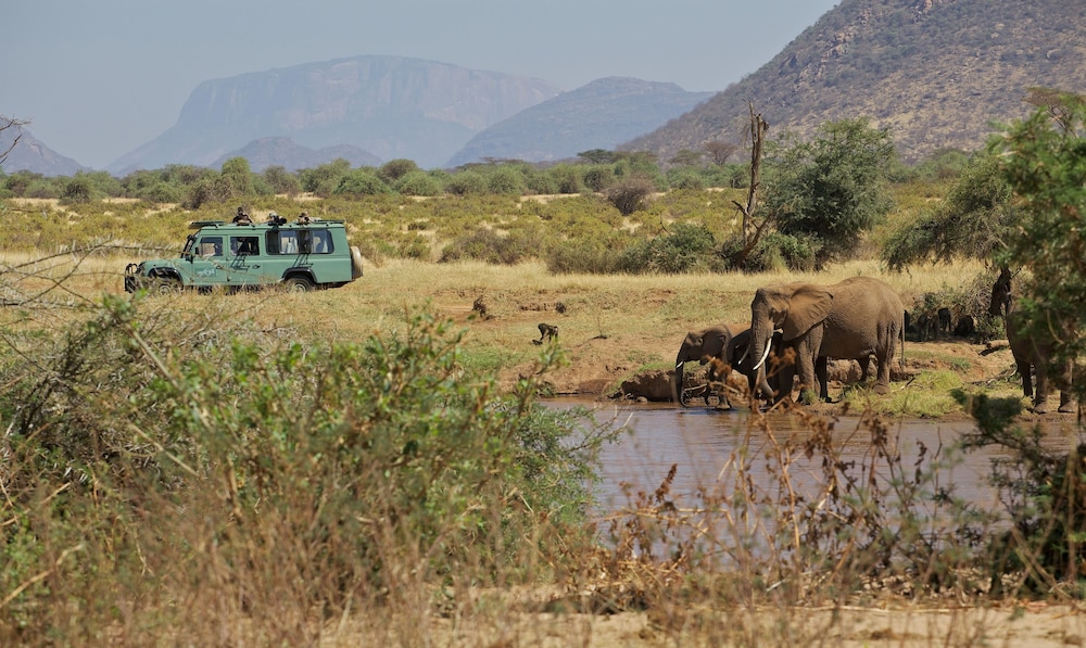 Ashnil Samburu Camp 35/50