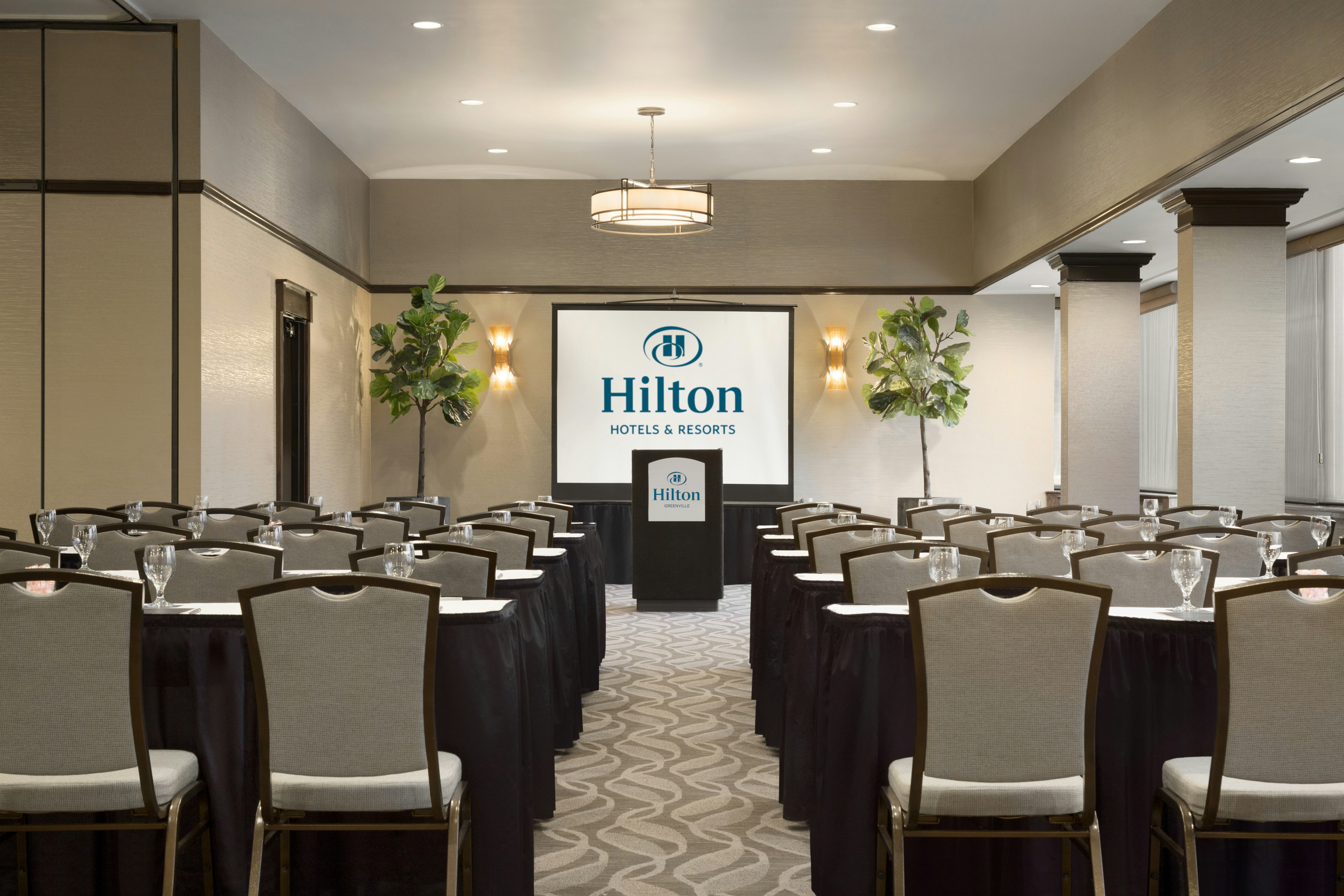 Hilton Greenville 25/31