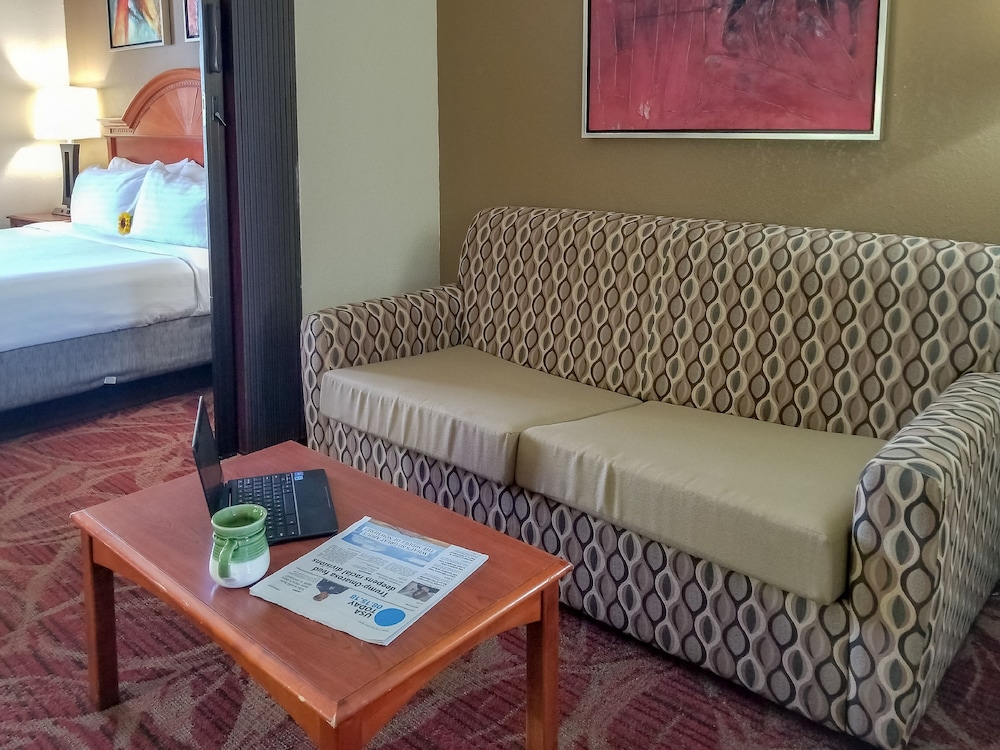 Holiday Inn Express Hotel And Suites Orange City 41/63