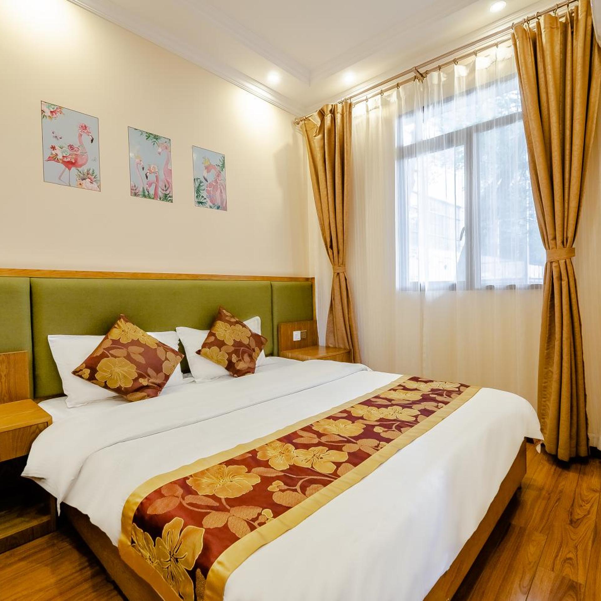 Holly Hostel 15/50