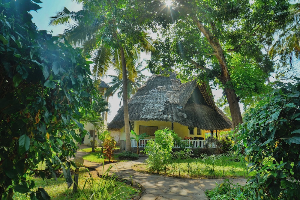 Upani In Daini 4/50